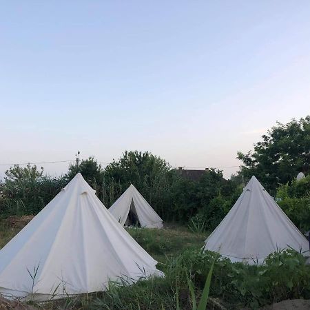 סולינה Danube Delta Hostel Homestay & Camping מראה חיצוני תמונה