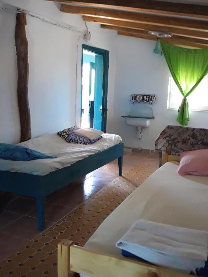 סולינה Danube Delta Hostel Homestay & Camping מראה חיצוני תמונה