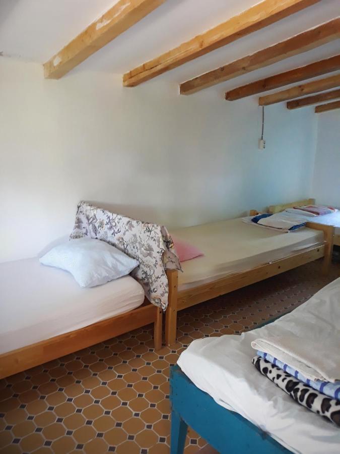 סולינה Danube Delta Hostel Homestay & Camping מראה חיצוני תמונה
